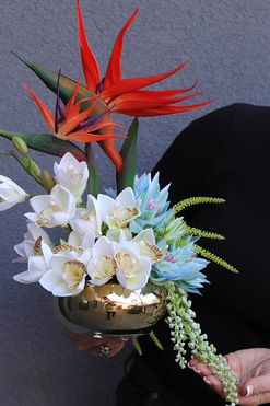 Strelicja Piano Gold, egzotyczna kompozycja w misie, wys.40cm