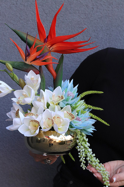 Strelicja Piano Gold, egzotyczna kompozycja w misie