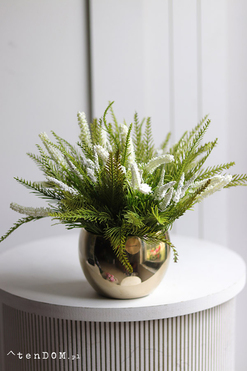 Heather Gold, wrzosy w złotej donicy, wym.25x30cm