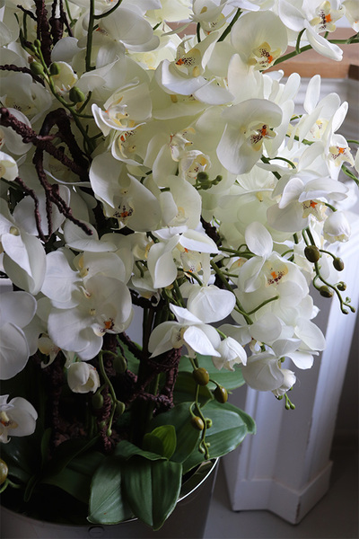 Silverio 2, elegancki storczyk podłogowy w srebrnej donicy