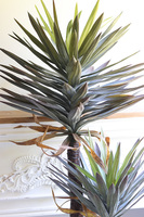 Jukka Florida 2, sztuczna roślina drzewko