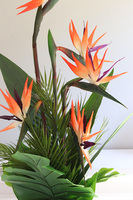 Strelicja Silver Yfrena, kompozycja w wazonie