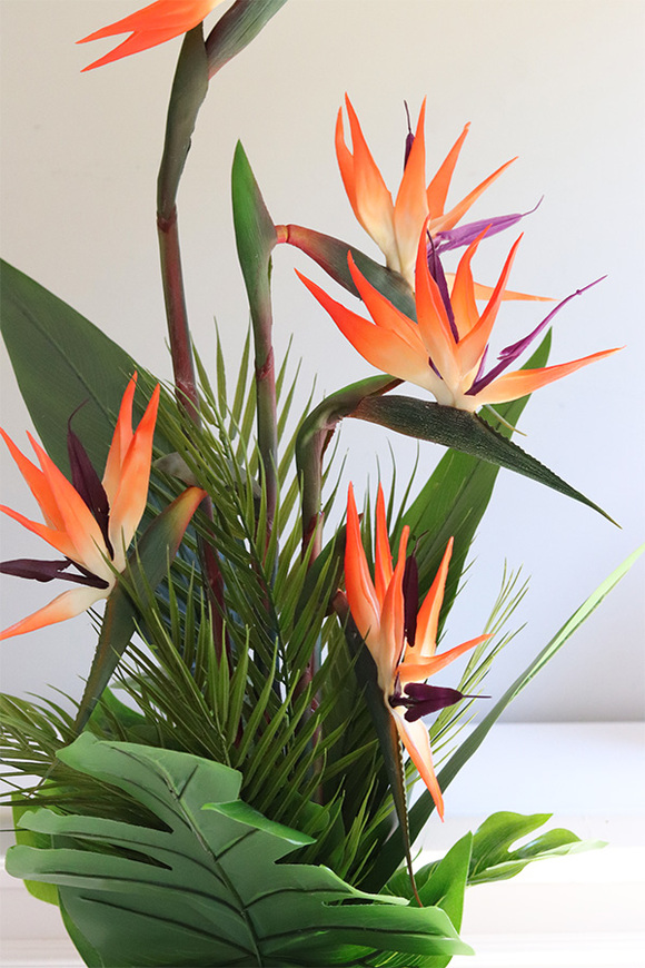 Strelicja Silver Yfrena, kompozycja w wazonie