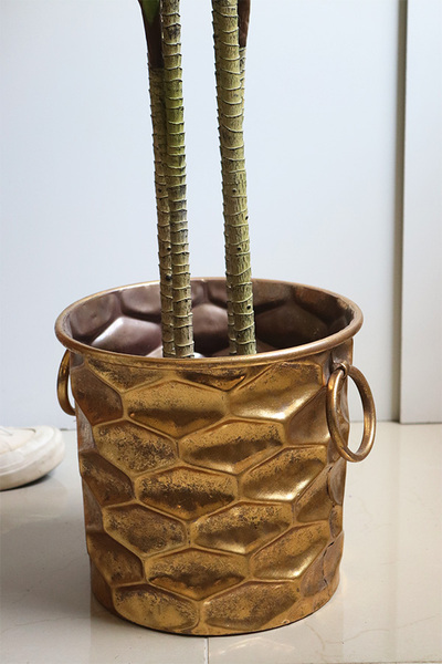 Dracena Domingo, sztuczna roślina w doniczce