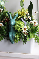 Green World Protea Bunny, kompozycja kwiatowa