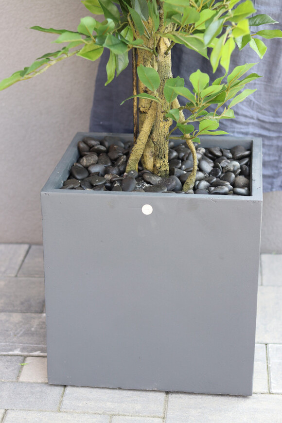 Fikus Benjamin Concrete, sztuczna roślina w betonowej donicy