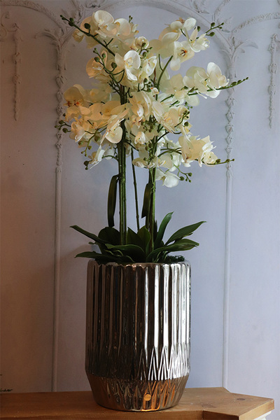 Silverro 3, podłogowy storczyk w lustrzanej donicy