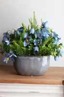 Krokusy Blue 2, kompozycja wiosenna z niebieskich kwiatów