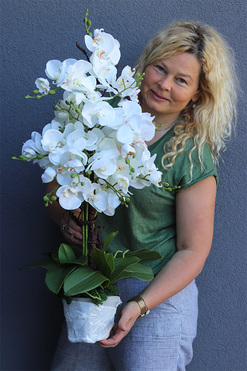 Luise Saute, storczyk w stretchu do Twojej donicy, wys.74/52cm