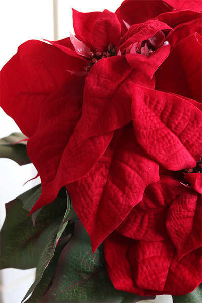 Gwiazda Betlejemska Deluxe Silver, sztuczna roślina w donicy