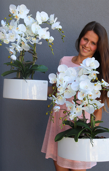 Manfredo Cream, sztuczny storczyk w białej donicy, wys.60cm