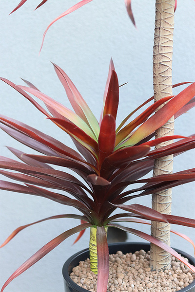 Jukka Fiberglass, sztuczna roślina w szarej donicy