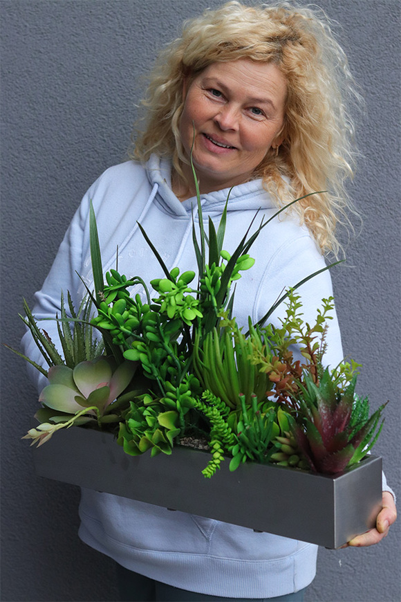 Suculenti Steel Modern, dekoracja zielona w stalowej donicy