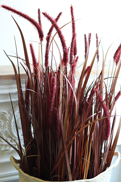 Trawy Red Boho, dekoracja w koszu