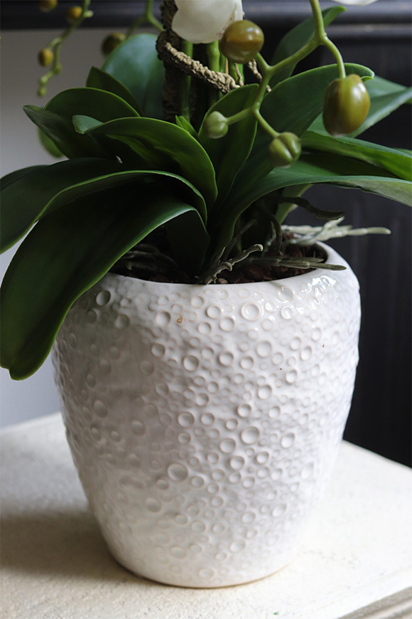 Belia White, biały sztuczny storczyk w białej donicy