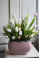 Krestia 2, kompozycja wiosenna z tulipanami i hiacyntami, wys.54cm 