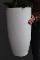 White Grande Fiberglass, sztuczny storczyk w białej donicy, wys.120cm