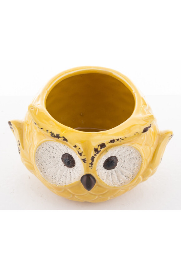 Cottage Owl, osłonka na kwiaty, żółta