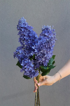 Bzy Deluxe Premium, gumowy bez kwitnący lilak, niebieski, 3szt, dł.70cm