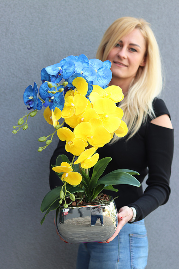 Ukraina, gumowy storczyk w srebrnej doniczce