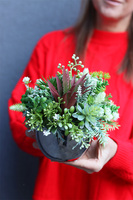 Green Toro Mini, kompozycja sukulenty w lustrzanej donicy