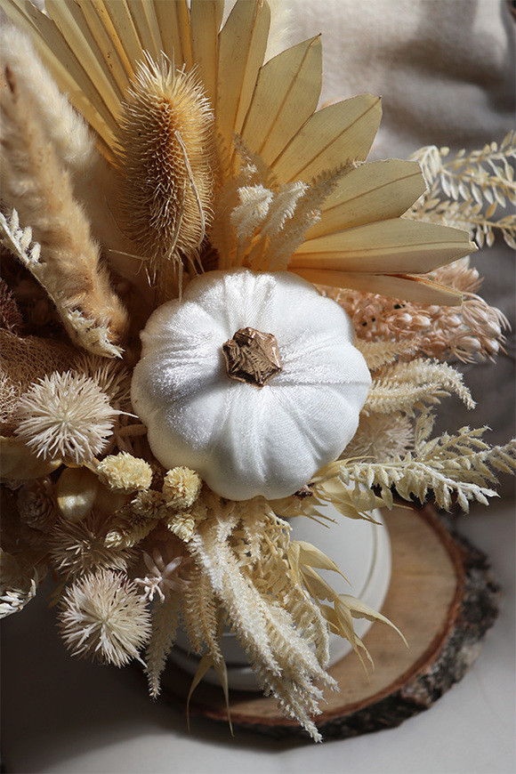 Velurowa Dynia Cream, jesienny flowerbox z suszem