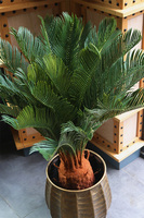 Cykas Bellis, sztuczna roślina w złotej donicy