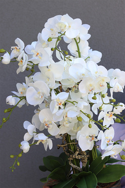 OD RĘKI Genova Black, sztuczny storczyk w wysokiej donicy, wys.110cm