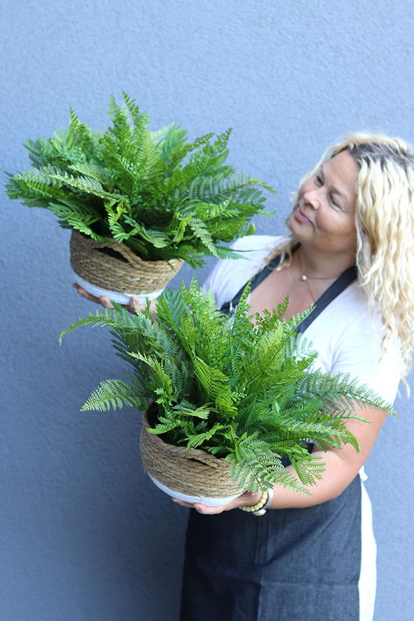 Zielone Biuro, paproć w ozdobnej donicy etno, 1 szt., wym.40x55cm