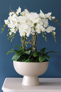 Beige Simplicita, storczyk w metalowym pucharze, wys.77cm 