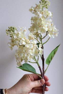 OD RĘKI Bzy Royal, gumowy bez kwitnący lilak, biel, dł.66cm 