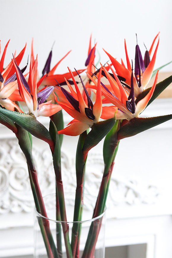 Strelicja Królewska Czerwona, bukiet kwiatów do wazonu