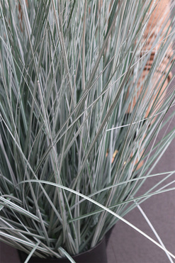 Wydmy, sztuczna trawa sina w donicy, wys.80cm