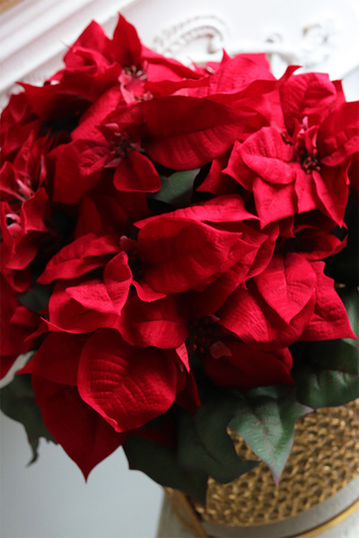  Gwiazda Betlejemska Pucharina, sztuczna roślina w donicy