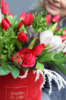 Red Spring Big, walentynkowy flowerbox z tulipanami