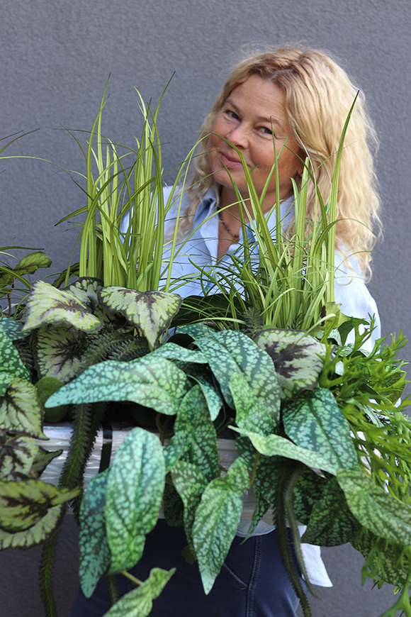 Morena Green Saute, zielona dekoracja do twojej donicy