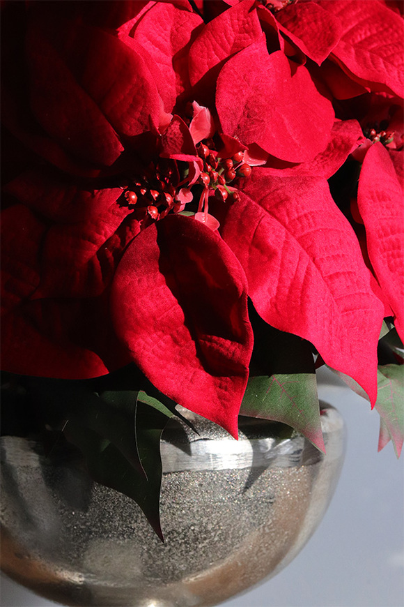 Gwiazda Betlejemska Deluxe Silver, sztuczna roślina w donicy