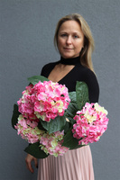 doniczkowa hortensja Róż Rozbielony, wysokiej jakości sztuczne kwiaty