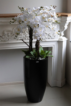 Biała Komnata Grande, biały storczyk w czarnej donicy z fiberglass, wys.134cm 