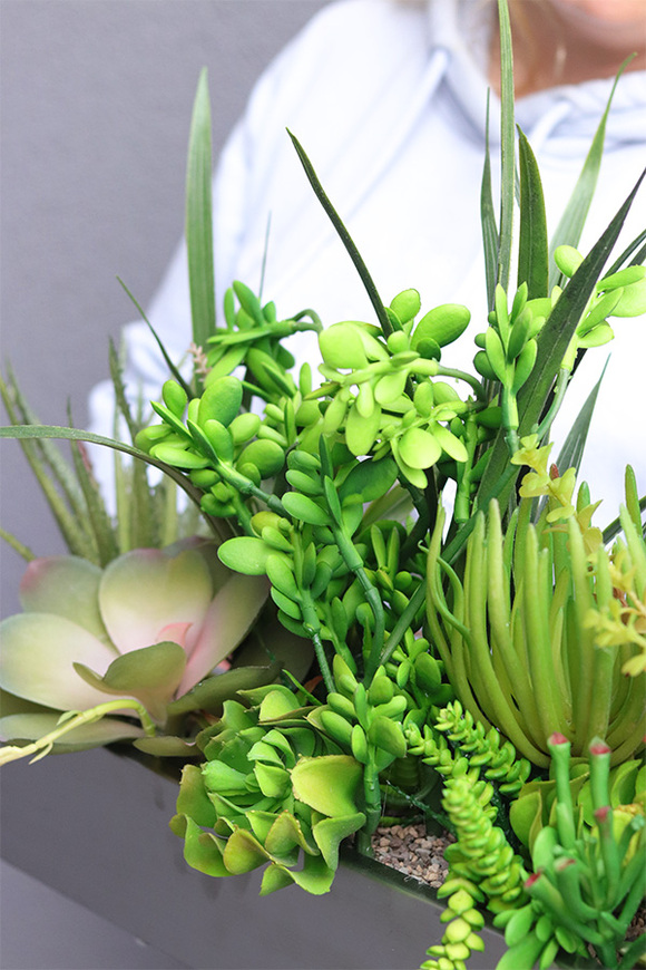 Suculenti Steel Modern, dekoracja zielona w stalowej donicy