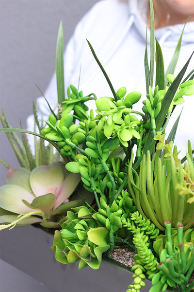 Suculenti Steel Modern, dekoracja zielona w stalowej donicy