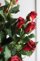 Róża Juliet, gałązka sztucznej róży, czerwona