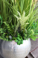 Apartament Silver, dekoracja z trawami w metalowej donicy