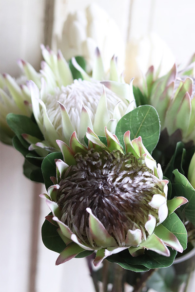 ekskluzywny bukiet w szklanym wazonie, Protea, wys.78cm