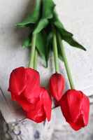 April New, bukiet tulipanów silikonowych Czerwony