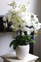 Belia White, biały sztuczny storczyk w białej donicy