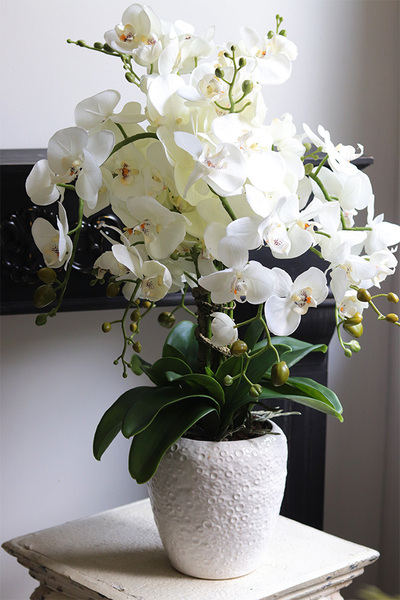 Belia White, biały sztuczny storczyk w białej donicy