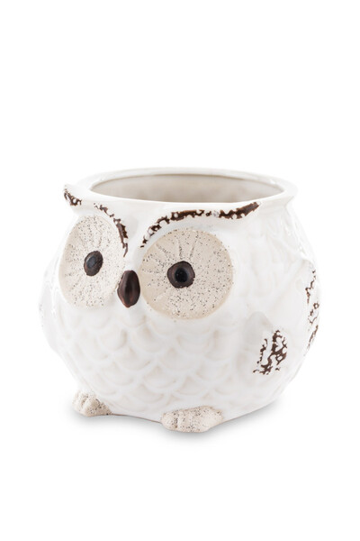 Cottage Owl, osłonka na kwiaty, biała