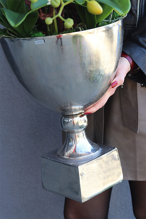 elegancki storczyk w pucharze, Pucharro, wys.86cm 