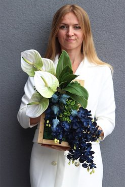 Dekoria Navy, granatowy storczyk w skrzynce, wym.23x50cm 